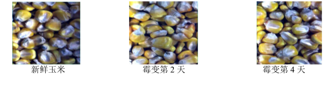 1667609157169814.png 圖片8.png