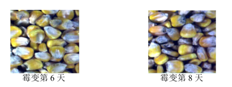 1667609169122872.png 圖片9.png