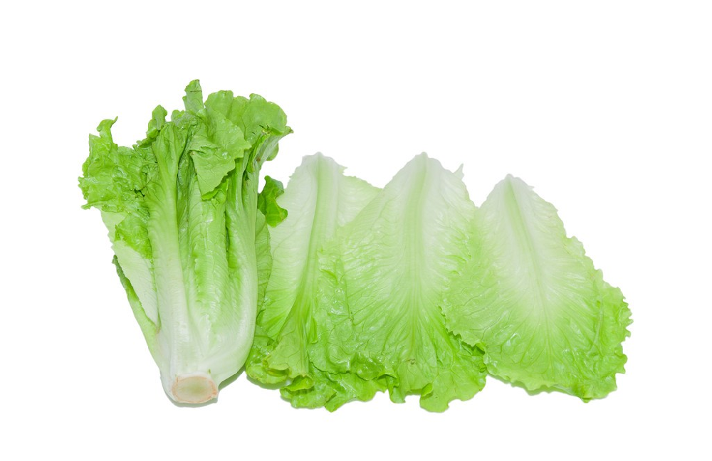 基于高光譜成像光譜儀圖像的生菜葉片氮素含量預(yù)測模型研究