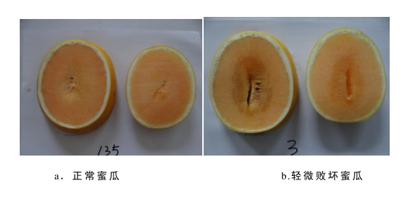 1680857019293716.png 圖片2.png