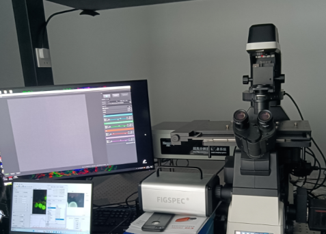 1711420077807335.png image.png