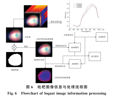 1721265653209439.png image.png