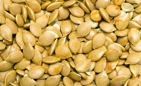 高光譜相機對南瓜種子活力檢測的應用